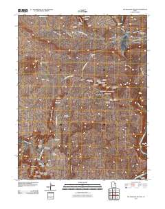 2011 Map of The Windows Section, 2011 Print