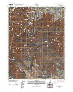 2011 Map of Tickville Spring, 2011 Print