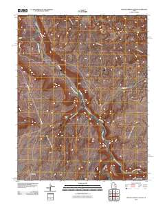 2010 Map of Trough Springs Canyon, 2010 Print