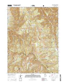 2014 Map of Twin Peaks, 2014 Print