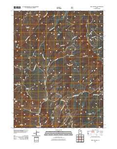2011 Map of Two Tom Hill, 2011 Print
