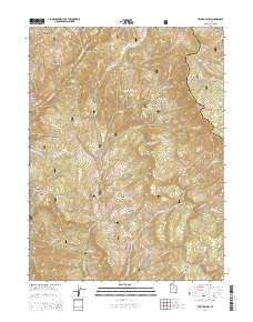 2014 Map of Two Tom Hill, 2014 Print