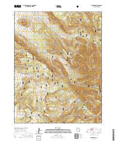 2020 Map of Warner Lake, 2020 Print
