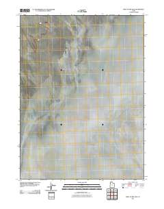 2011 Map of West of Big Pass, 2011 Print