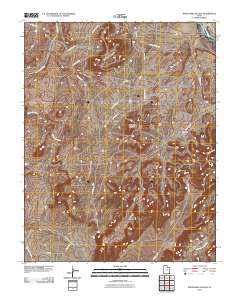 2010 Map of White Mesa Village, 2010 Print