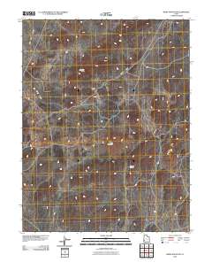 2010 Map of White Mountain, 2010 Print