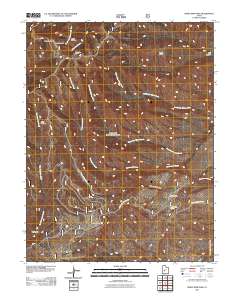 2011 Map of White Pine Peak, 2011 Print