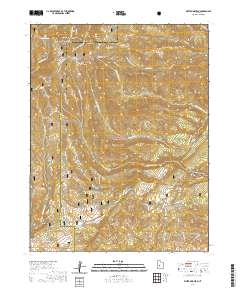 2020 Map of White Pine Peak, 2020 Print