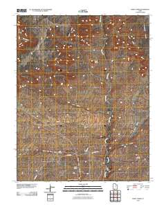 2010 Map of White Tower, 2010 Print