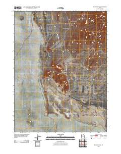 2010 Map of Wig Mountain, 2010 Print