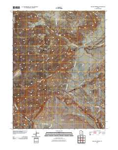 2010 Map of Willow Springs, 2010 Print