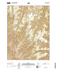 2020 Map of Wolf Flat, 2020 Print