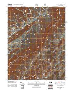 2011 Map of Augusta Springs, 2011 Print