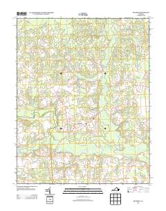 2013 Map of Dendron, 2013 Print