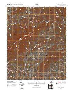 2010 Map of Patrick Springs, 2010 Print
