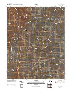 2010 Map of Saint Joy, 2010 Print