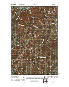2011 Map of Adams Mountain, 2011 Print