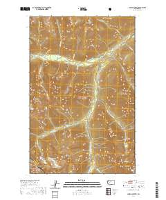 2020 Map of Agnes Mountain, 2020 Print
