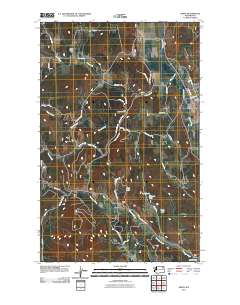 2011 Map of Arden, 2011 Print