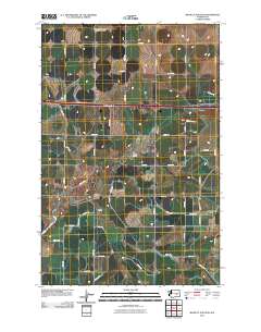 2011 Map of Bassett Junction, 2011 Print