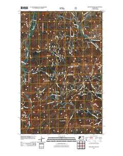 2011 Map of Bear Mountain, 2011 Print