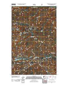2011 Map of Bearpaw Mountain, 2011 Print