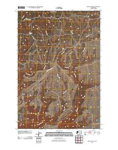 2011 Map of Bickleton NW, 2011 Print