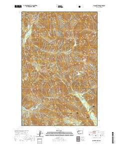2020 Map of Big Devil Peak, 2020 Print