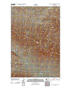 2011 Map of Black Rock Spring NW, 2011 Print