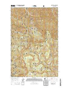 2014 Map of Blewett Pass, 2014 Print