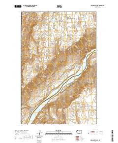 2020 Map of Bridgeport Point, 2020 Print