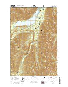 2014 Map of Bumping Lake, 2014 Print