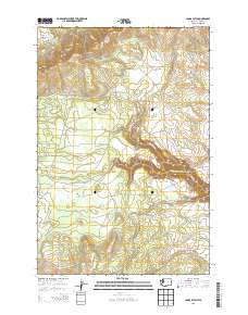 2013 Map of Camas Patch, 2013 Print