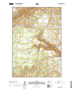 2020 Map of Camas Patch, 2020 Print