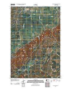 2011 Map of Camas Prairie, 2011 Print