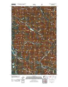 2011 Map of Canyon Lake, 2011 Print
