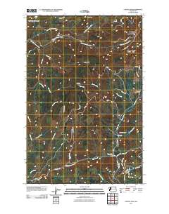 2011 Map of Capitol Peak, 2011 Print