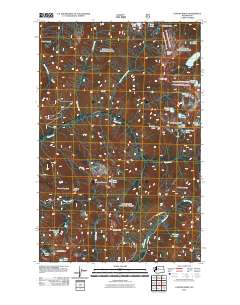 2011 Map of Captain Point, 2011 Print