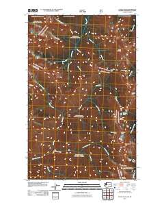 2011 Map of Castle Peak, 2011 Print