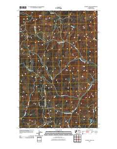 2011 Map of Central Peak, 2011 Print