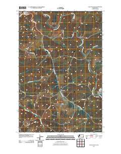 2011 Map of Colfax South, 2011 Print