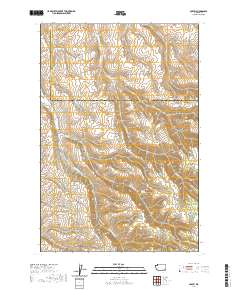 2020 Map of Coppei, 2020 Print