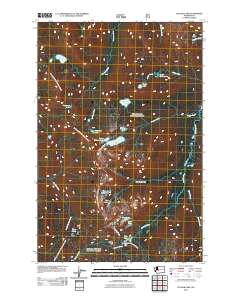 2011 Map of Cougar Lake, 2011 Print