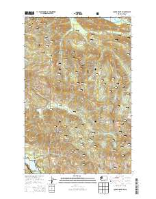 2014 Map of Cougar Mountain, 2014 Print