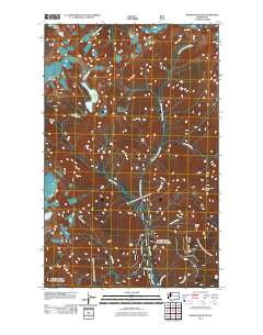 2011 Map of Damnation Peak, 2011 Print