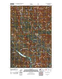 2011 Map of Day Lake, 2011 Print