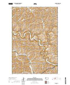 2020 Map of Diamond, 2020 Print