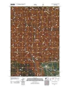 2011 Map of Diamond Peak, 2011 Print