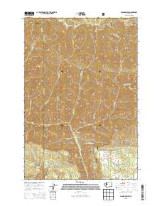 2013 Map of Diamond Peak, 2013 Print
