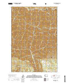 2020 Map of Diamond Peak, 2020 Print